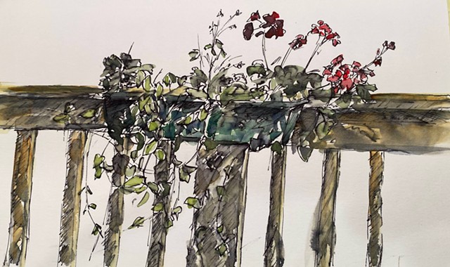 David Hummon