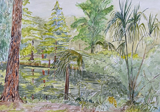 Florida Pond, Chesnut Park, Palm Harbor, Florida