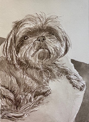 Bailey