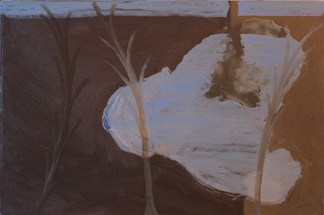 Trees and a Pond