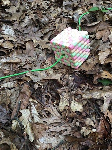 Forest Sewing