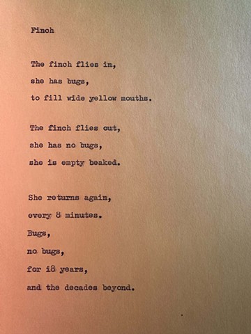 Finch