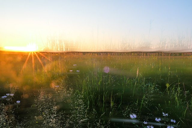 Likely Stories: A Photographic Journey through Climate Adaptations in the St. Croix Watershed.