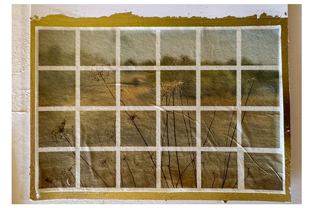 For Emily 1 of 5 (grid)