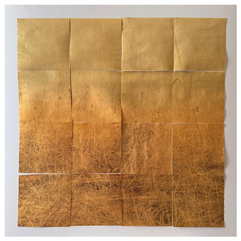 Little Event Horizon on the Prairie - A Work in Progress
