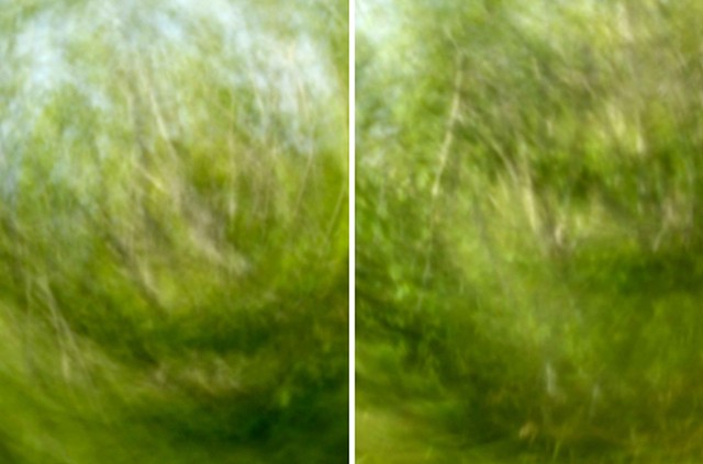 Walk diptych