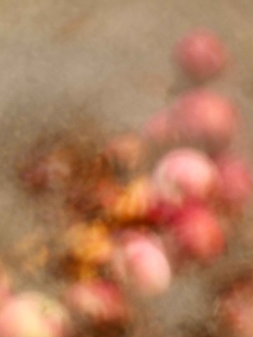 Wenda Salomons Photography