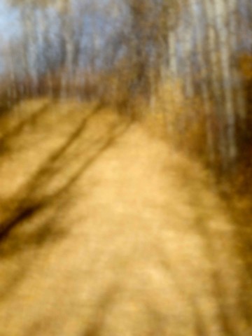 Walk XXVIII