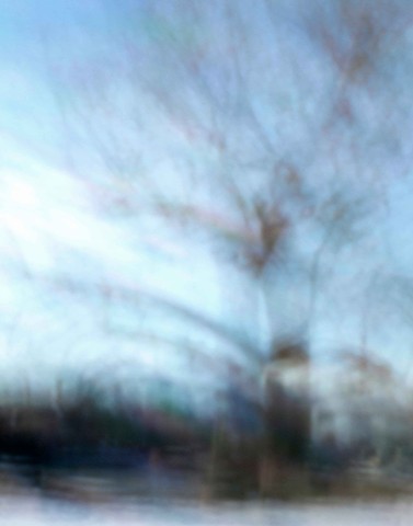 Trees XI