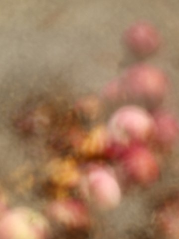 Crab Apples I
