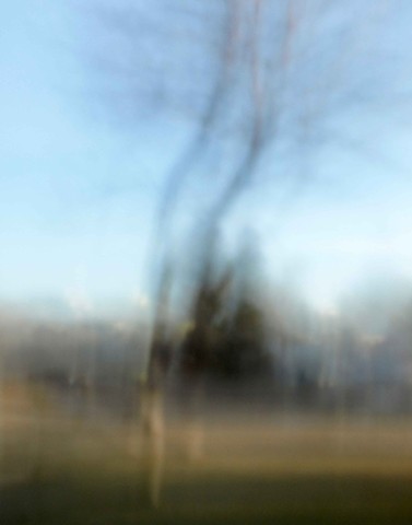 Trees III