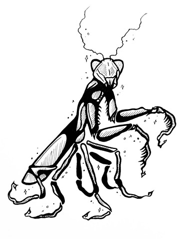 Mantis Man