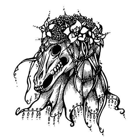 Mari Lwyd