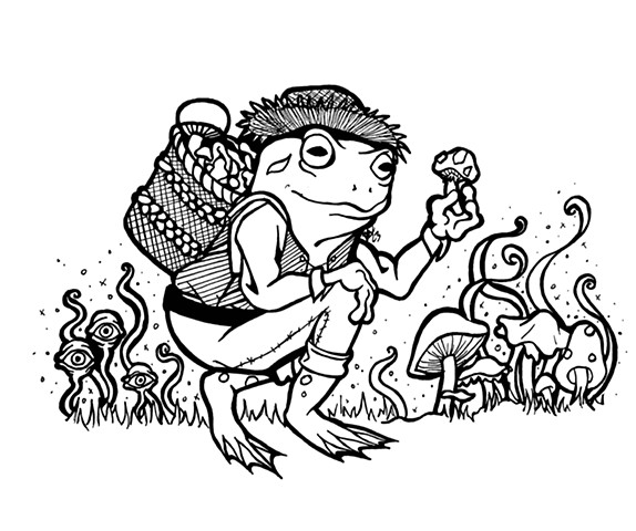 Mushroom Foraging