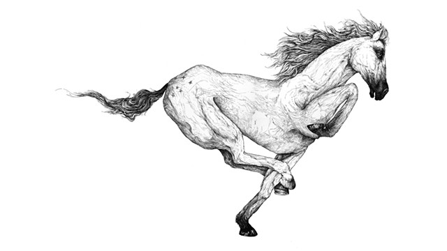 My Little Ponie, Star
