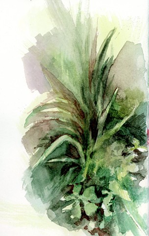 plant study