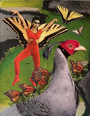 From Fear to Delight, She Learns to Take Flight