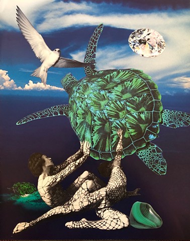 Turtle Dreams of Flight