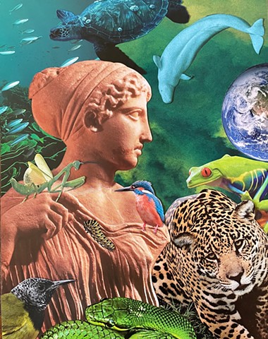Artemis Protects the Wild