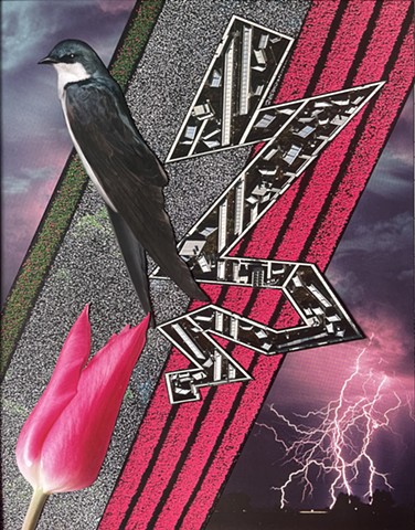 Storm Walker