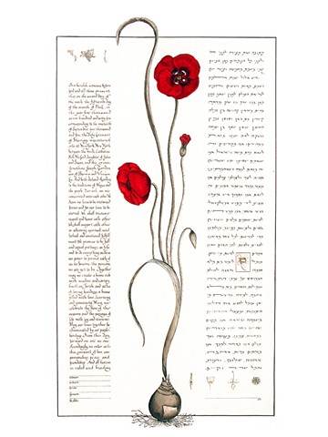 Chile Botanical  Custom Ketubah