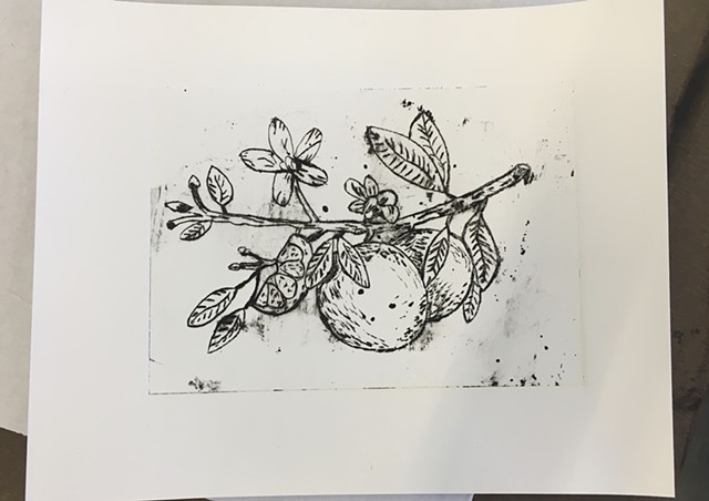 Orange Blossom