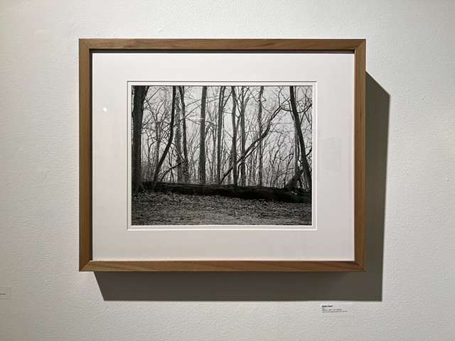 Exhibitions/Projects