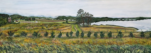 Late Summer, Turkey Hill
