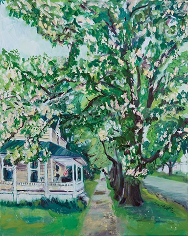 Horse Chestnut of Union Street