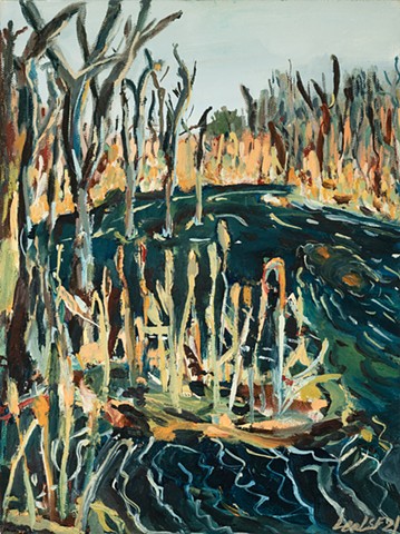 Freeville Marshes