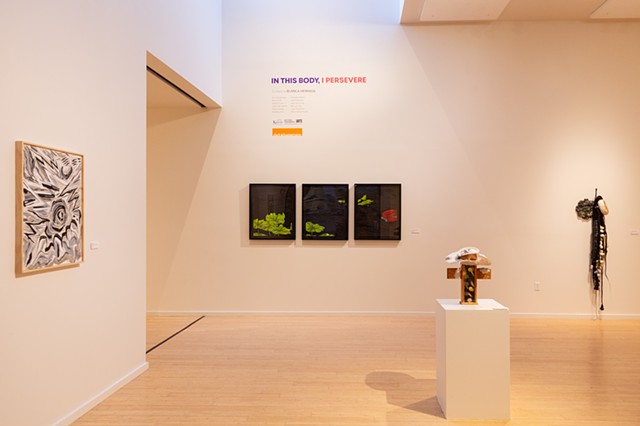 In This Body, I Persevere
