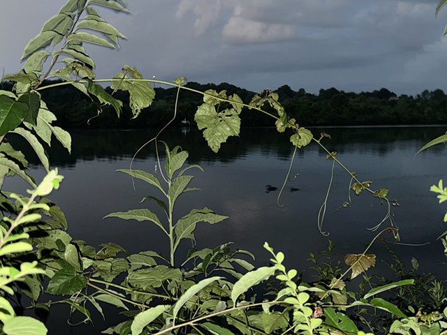 Riverbug