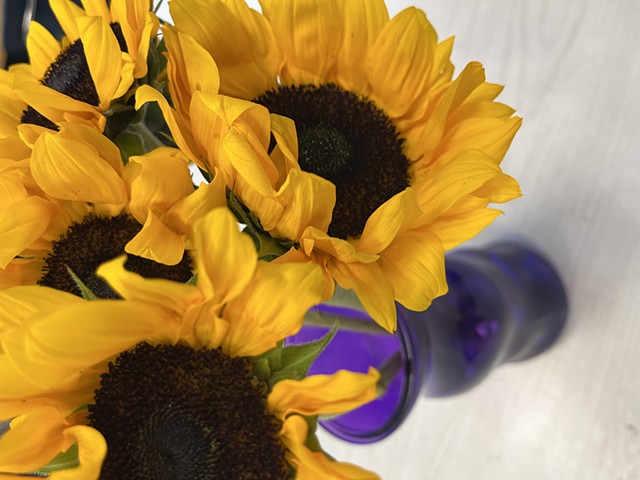 Sycodelic sunflower 