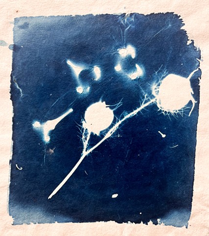 Oxbow Residency: Summer 2025