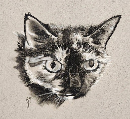 A Cat Named Face