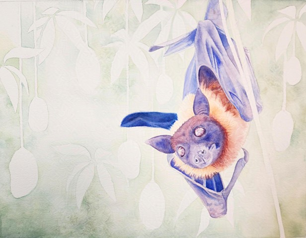 Fruit Bat