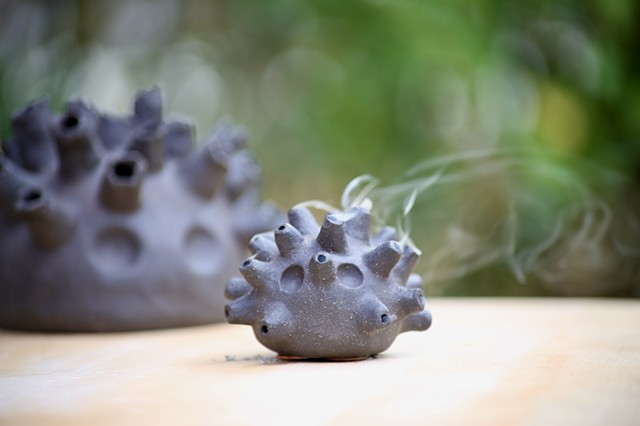 Urchins