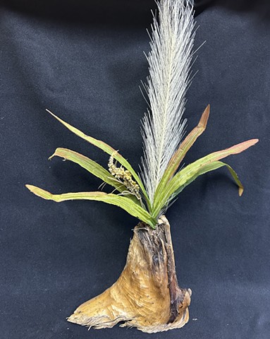 Marsh Grass
