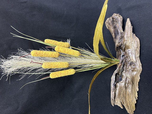 Yellow Bullrushes