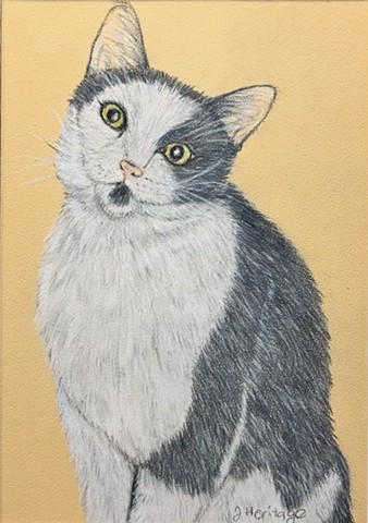 Rupert