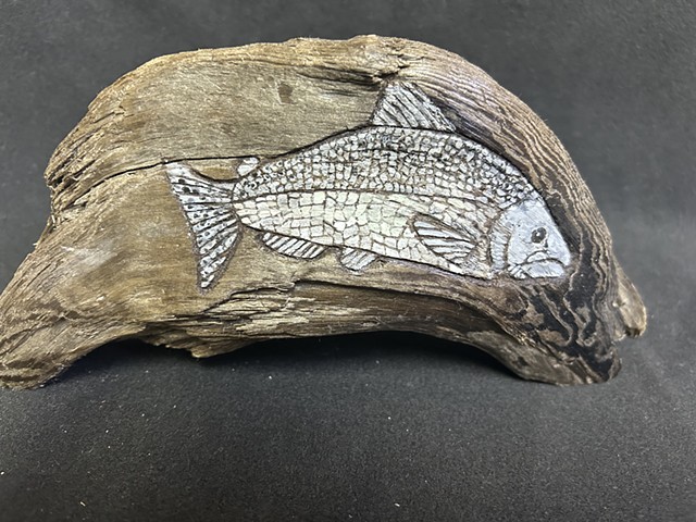 Chinook Salmon