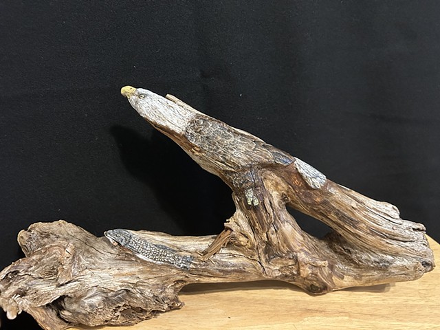Driftwood Creations