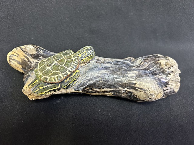 Painted Turtle