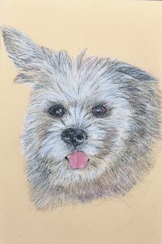 Charlie