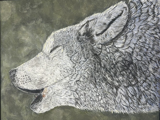 Singing Wolf