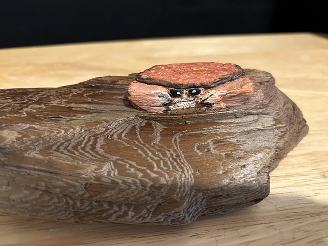 Dungeoness Crab
