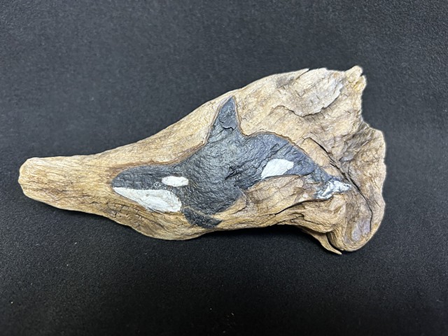 Southern Resident Killer Whale