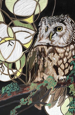 Boreal Owl