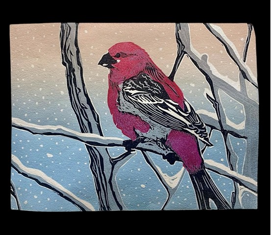Pine Gross Beak