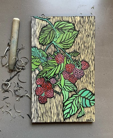 Backyard Raspberries 